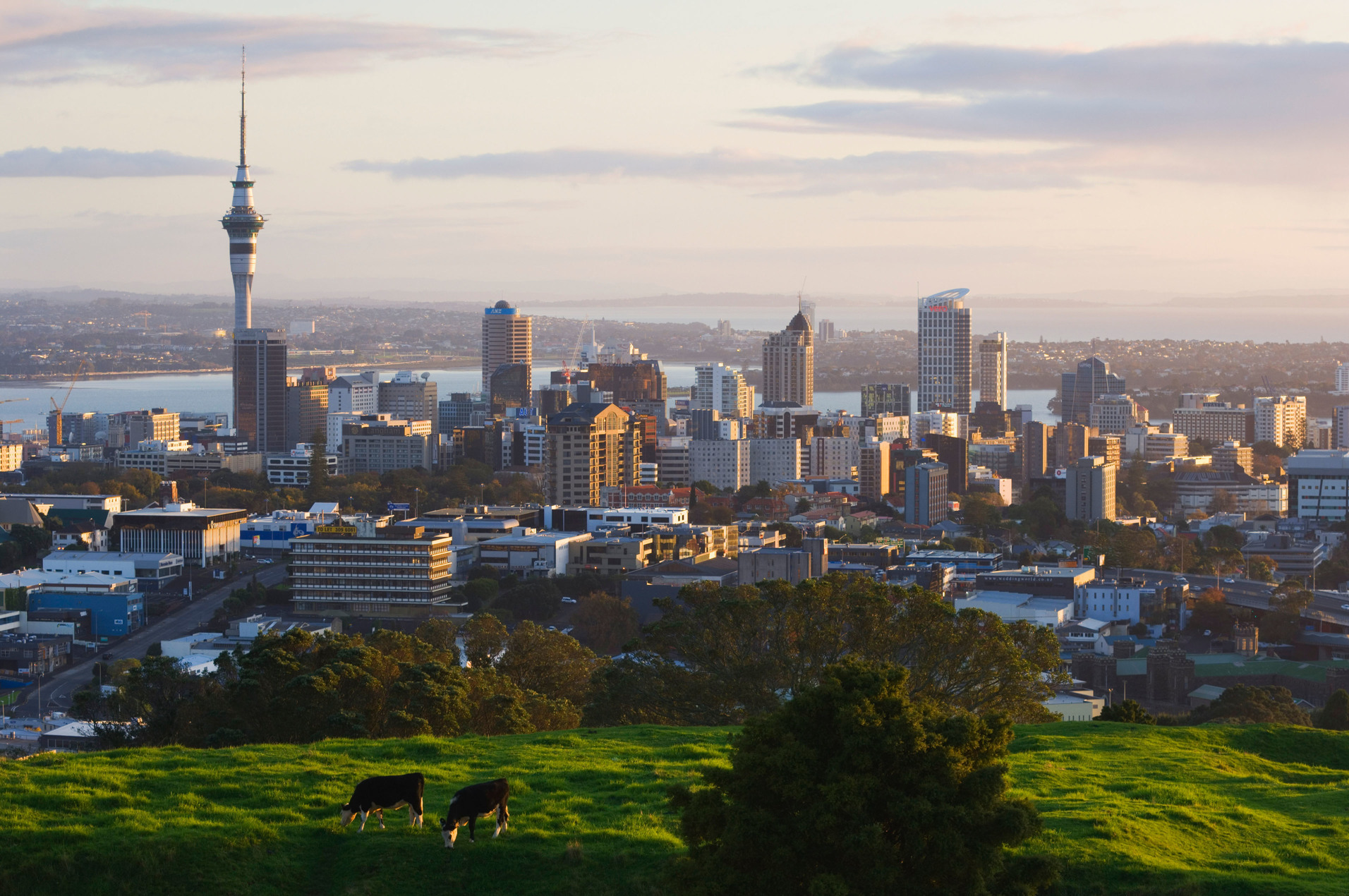 AKL - Auckland International