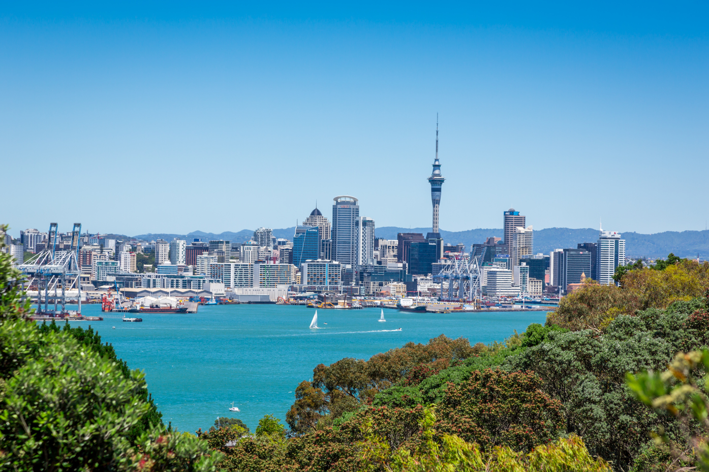 auckland pp 2017