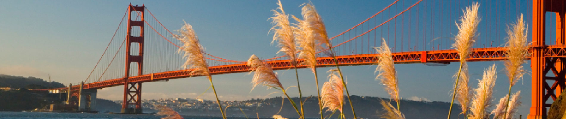 Thank you so much for leading us on these webinars – so much great info – such a reprieve from cancellations, and the bright spot in my Tuesday! Hugs to you and the team, and here’s to traveling again SOON!<br>-Denise Shorthouse, Independent Luxury Advisor, Affiliated with CI Azumano Travel