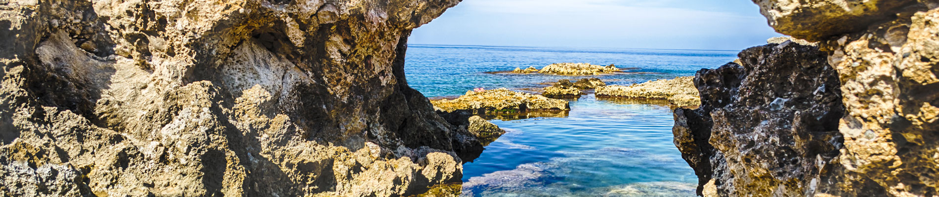 I just want to say that “I see you!” You are doing things differently from other vendors in the industry. I’m so excited to see this type of learning available to advisors<br> – Hillary Ogle, Paradise Weddings & Travel