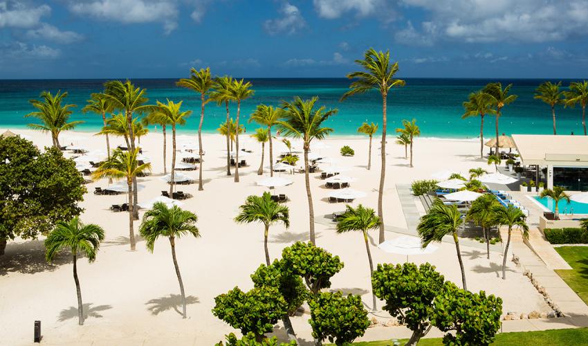 Bucuti & Tara Beach Resort - BBA | Classic Vacations